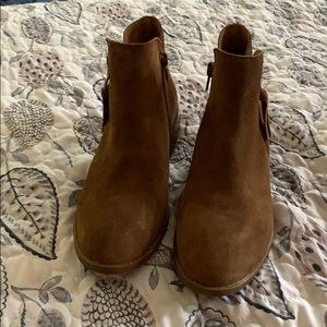 Brand New Steve Madden Booties